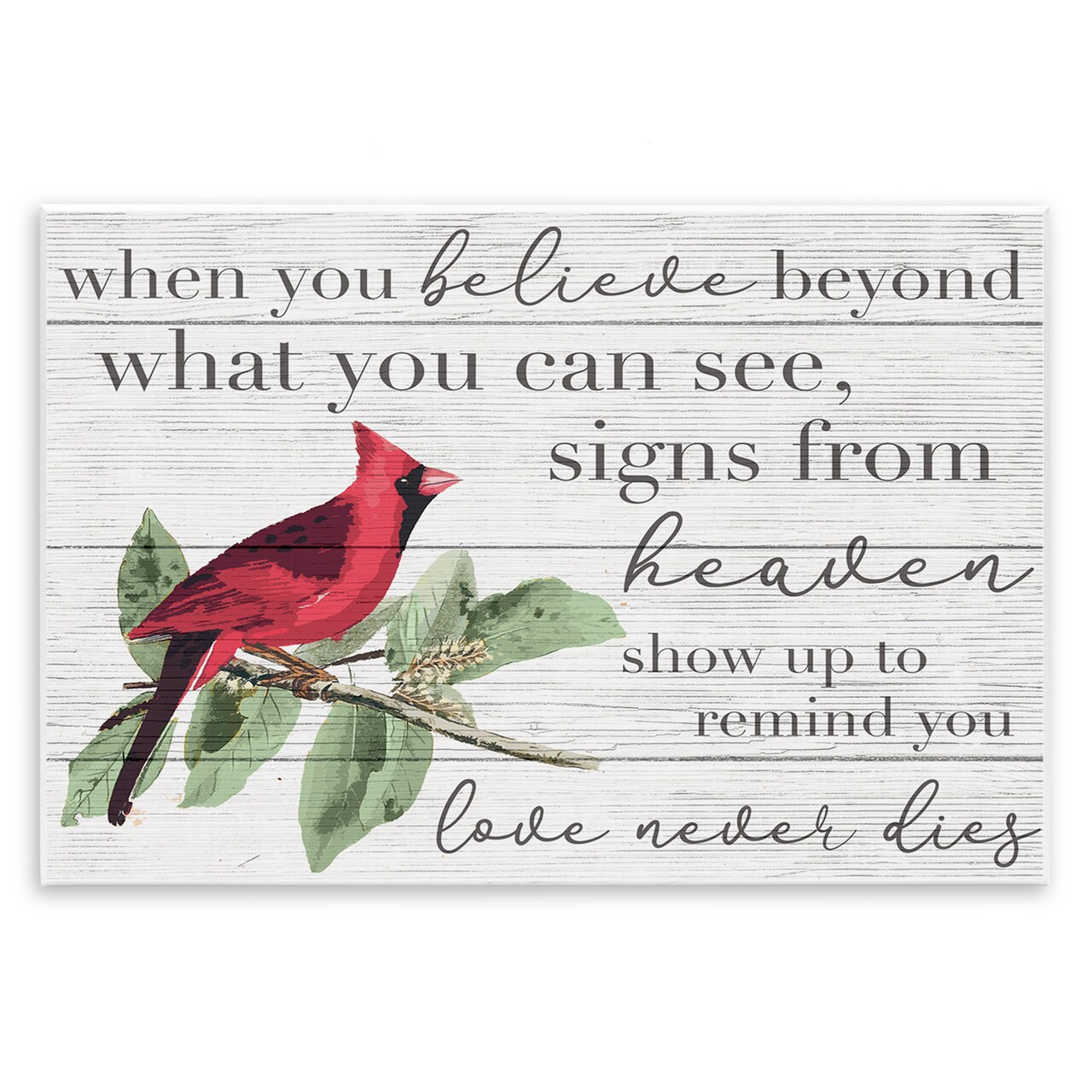 Stupell Industries Love Never Dies Inspirational Cardinal Wall Plaque Art